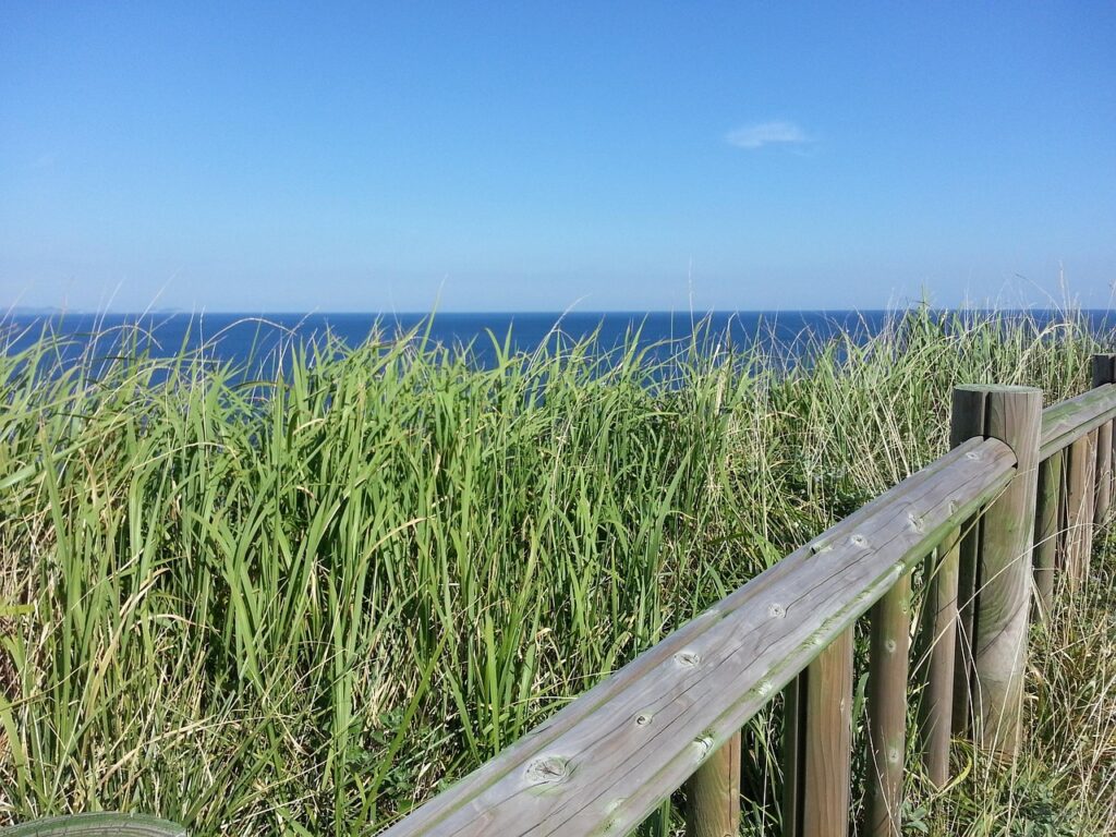 제주 리빙랩 신청 꿀팁 알아보자