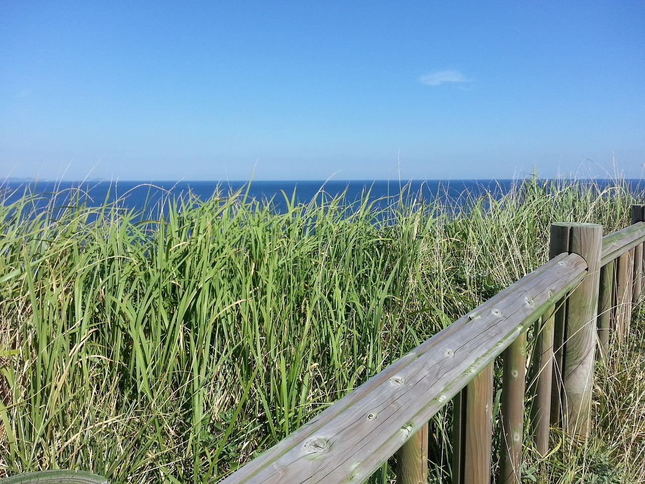 제주 리빙랩 신청 꿀팁 알아보자